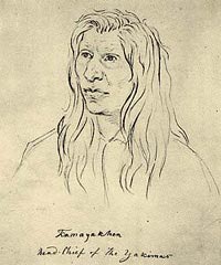 Portrait of Kamiakin, Yakama chief